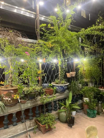 Bamboo Homestay Old Quarter – Foto’s 14